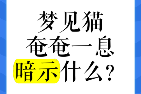 女人梦见猫咬自己是什么预兆