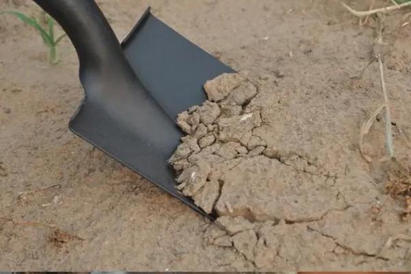 动土化解 动土化解