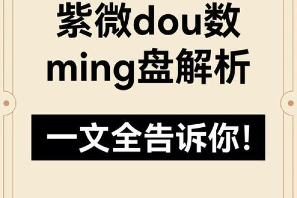 2025年4月9日酉时男命紫微斗数全解盘