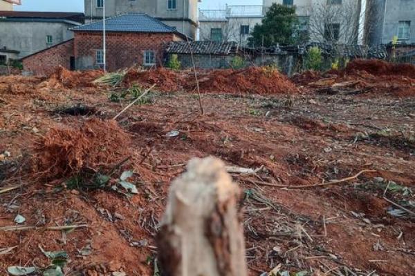 初十动土好不好 初十动土好不好