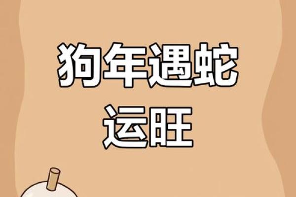 属狗在蛇年2025运势_82年属狗人42岁过七劫