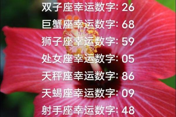 金牛座的幸运数 金牛座的幸运数