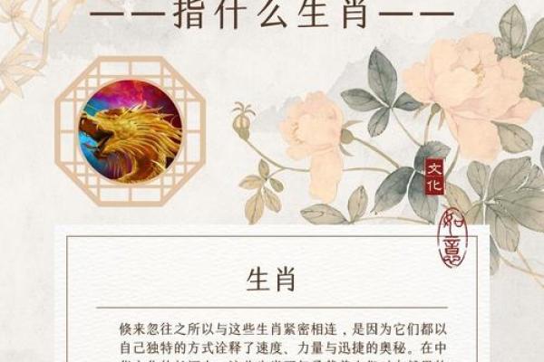 口若悬河是什么生肖 口若悬河是什么生肖