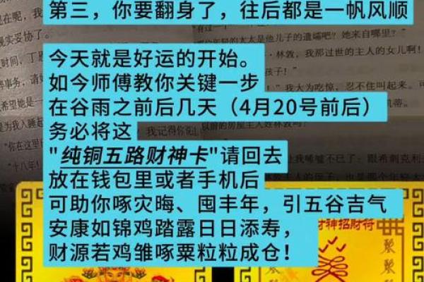 81年属鸡男在2025年的全年运势_2025年属鸡男全年运势解析81年出生者必看