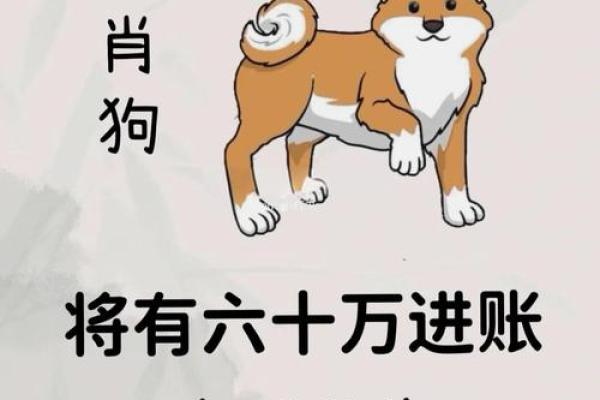 1970年属狗人今年运势如何_1970年属狗的今年运气怎么样 1970年属狗人今年运势如何_1970年属狗的今年运气怎么样