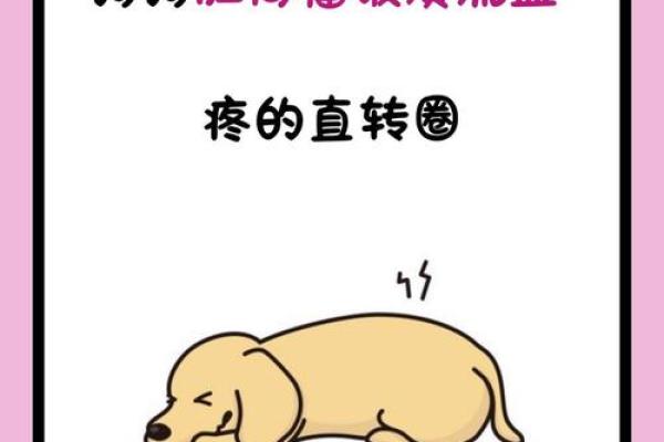 狗窦大开是什么动物