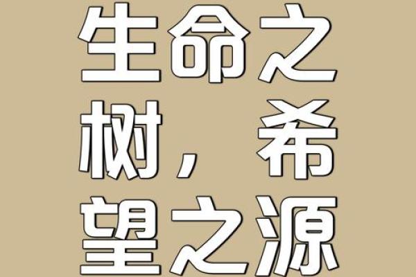 诞生之芽有什么用 诞生之芽有什么用