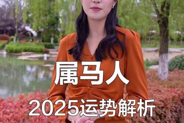 属马人2025年龙年运势 90属马2025必有一难 属马人2025年龙年运势 90属马2025必有一难