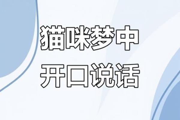 梦见会说话的猫 梦见会说话的猫