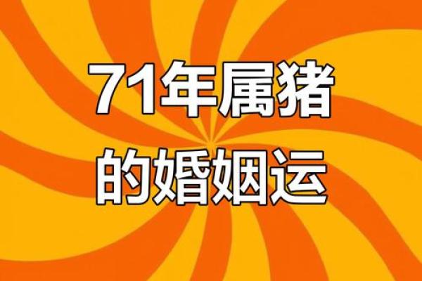 71年属猪2023年每月运势详解及运势提升指南 71年属猪2023年每月运势详解及运势提升指南