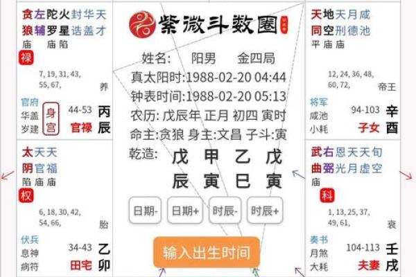 2025年4月6日寅时男命紫微斗数全解盘 2025年4月6日寅时男命紫微斗数全解盘