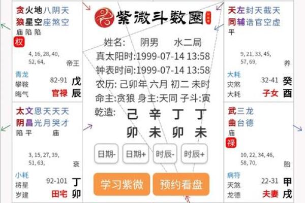 2025年4月14日巳时男命紫微斗数全解盘 2025年4月14日巳时男命紫微斗数全解盘