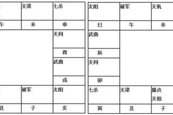 2025年4月14日巳时男命紫微斗数全解盘 2025年4月14日巳时男命紫微斗数全解盘