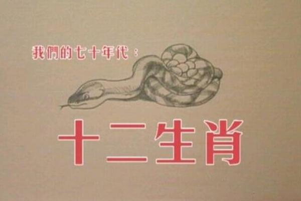 回光返照代表什么生肖 回光返照代表什么生肖