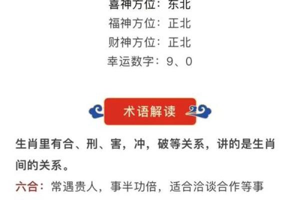 2024年属马人66岁全年运势解析运程吉凶与注意事项 2024年属马人66岁全年运势解析运程吉凶与注意事项