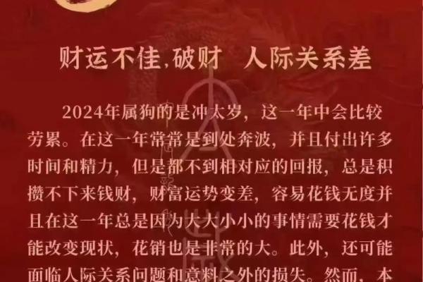 2025蛇年狗的运势怎么样呢_2025年生肖狗全年运程 2025蛇年狗的运势怎么样呢_2025年生肖狗全年运程