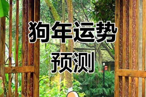 1982年属狗人2025年全年运势运程 1982年属狗人2025年运势详解全年运程大揭秘 1982年属狗人2025年全年运势运程 1982年属狗人2025年运势详解全年运程大揭秘