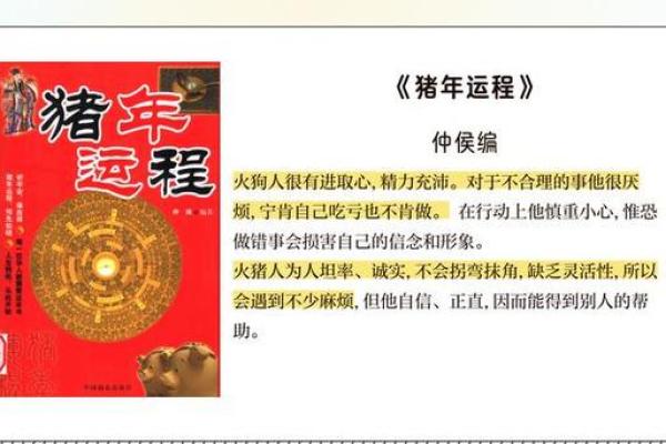 2007年属猪2026年运势及运程_2007年属猪2026年运势详解运程预测与吉凶分析 2007年属猪2026年运势及运程_2007年属猪2026年运势详解运程预测与吉凶分析