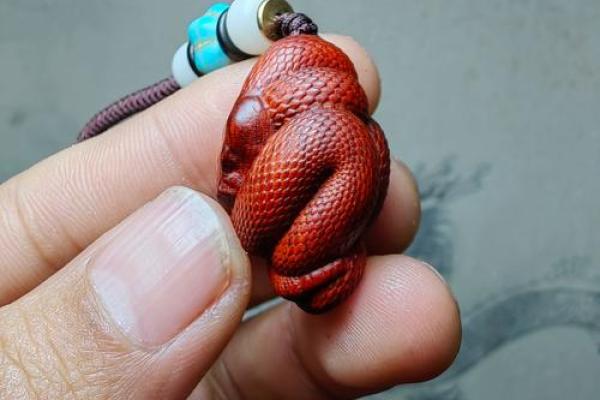 弄文轻武是什么生肖(弄文轻武是什么生肖动物) 弄文轻武是什么生肖(弄文轻武是什么生肖动物)