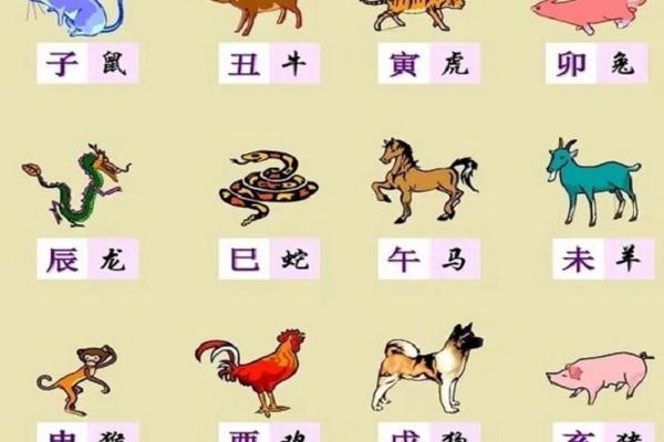 “一克容情”打一个生肖动物,一克容情是什么生肖答案解释释义落实 “一克容情”打一个生肖动物,一克容情是什么生肖答案解释释义落实