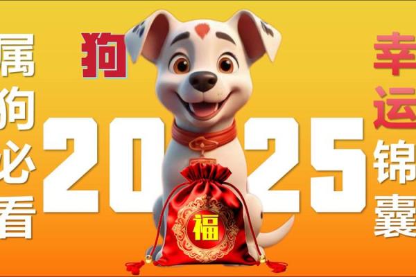 2025年狗1994年狗女运势 2025年狗女运势解析1994年出生者未来运程预测 2025年狗1994年狗女运势 2025年狗女运势解析1994年出生者未来运程预测