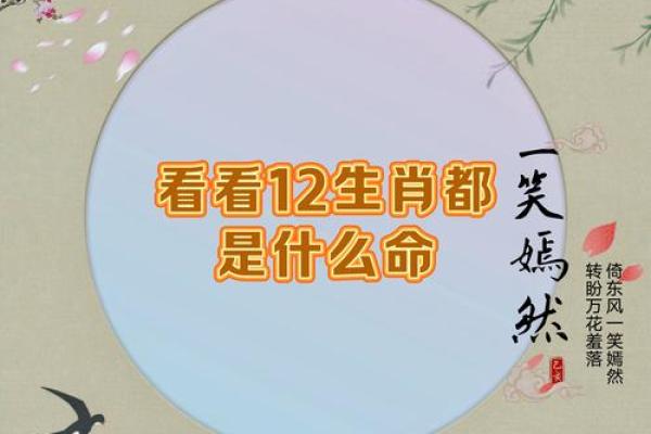 风雨同舟是什么生肖