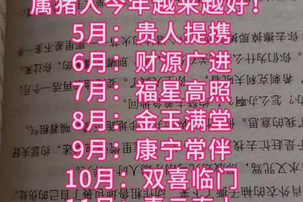 71年属猪人2025年每月运势_2025年71属猪人的全年运势如何 71年属猪人2025年每月运势_2025年71属猪人的全年运势如何