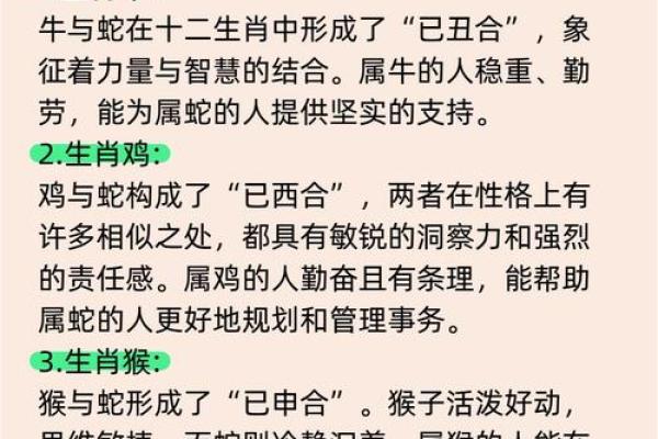 蛇年属猪的运势怎么样 蛇年属猪运势解析2023年财运事业感情全揭秘