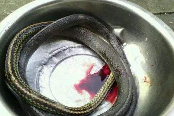 梦见被人砍 梦见被人砍