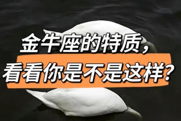 3月27日金牛座性格 3月27日金牛座性格