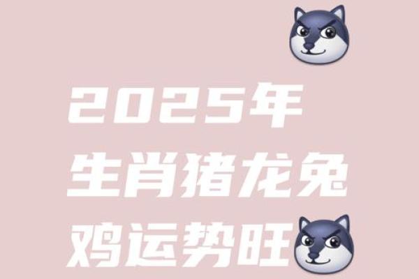 1995的猪在2025的运程 2025年属猪人运程解析1995年出生者运势大揭秘 1995的猪在2025的运程 2025年属猪人运程解析1995年出生者运势大揭秘