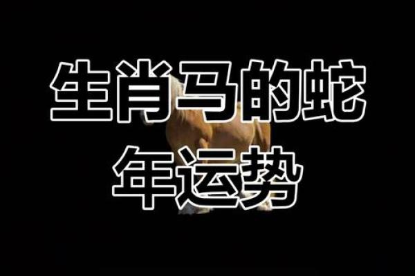 66年属马2025年每月运势_66年属马2025年每月运势详解精准预测与吉凶指南 66年属马2025年每月运势_66年属马2025年每月运势详解精准预测与吉凶指南