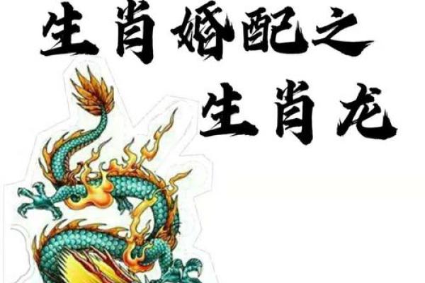 属龙跟属马的姻缘相配吗_男马女龙能过一辈子吗 属龙跟属马的姻缘相配吗_男马女龙能过一辈子吗