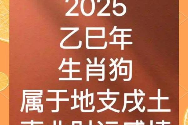 1982年属狗2025年运势完整版_1982年属狗2025年运势及运程详解 1982年属狗2025年运势完整版_1982年属狗2025年运势及运程详解