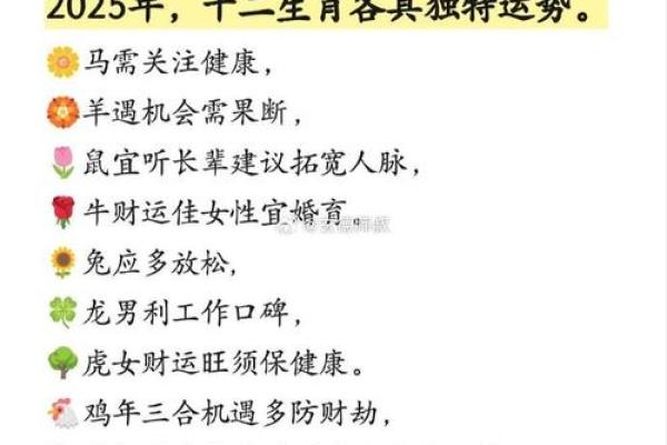 2025年属马的运气如何 2025年属马人全年运势如何吉凶解析与转运指南 2025年属马的运气如何 2025年属马人全年运势如何吉凶解析与转运指南