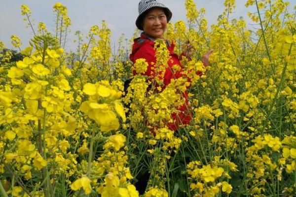 阳春三月好景色是什么生肖 阳春三月好景色是什么生肖