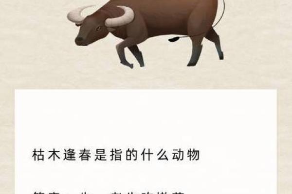 卸磨杀驴是什么生肖 卸磨杀驴是什么生肖