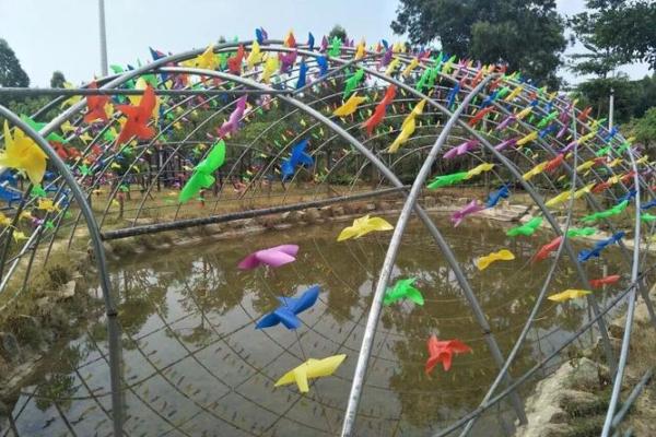 “混水摸鱼”打一准确生肖,混水摸鱼什么生肖答案解释释义落实 “混水摸鱼”打一准确生肖,混水摸鱼什么生肖答案解释释义落实