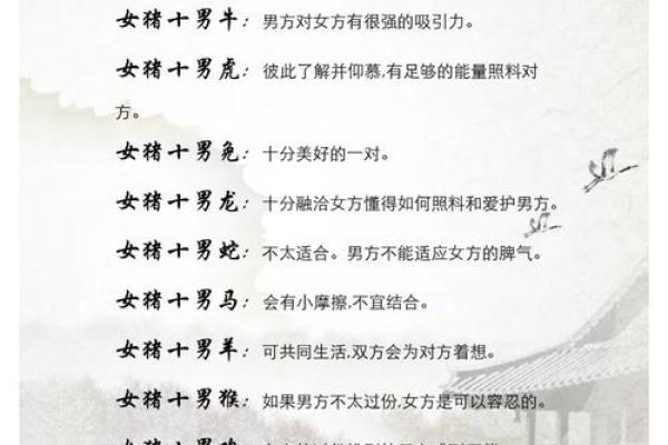 属猪2025最佳婚期 属猪2025最佳婚期