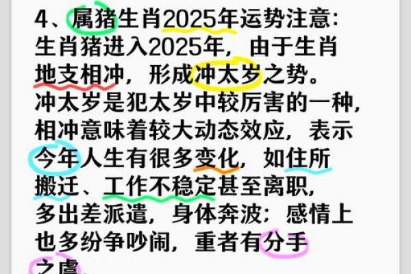 属猪的2025多大年龄了_2025年虚岁年龄表 属猪的2025多大年龄了_2025年虚岁年龄表