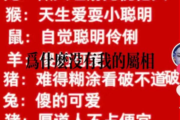 “八拜之交”打一个生肖动物，八拜之交打一个生肖答案解释释义落实