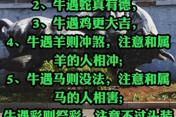属牛的和什么属相最配