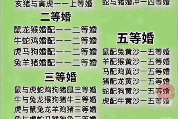 2002年属马和什么生肖最配对_2002年属马最佳婚配生肖揭秘哪几个属相最合适 2002年属马和什么生肖最配对_2002年属马最佳婚配生肖揭秘哪几个属相最合适