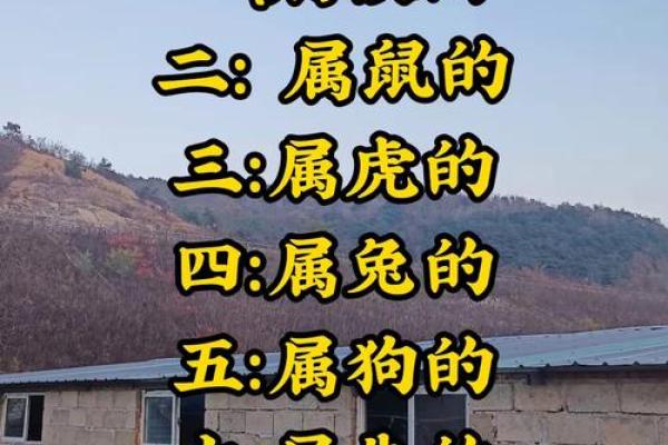“两面三刀”打一个生肖动物,两面三刀打一正确动物答案解释释义落实 “两面三刀”打一个生肖动物,两面三刀打一正确动物答案解释释义落实