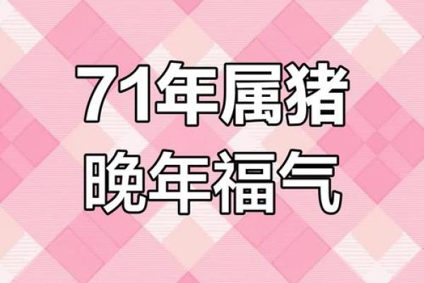 71年属猪的2025全年运势_71年属猪人未来5年的运势