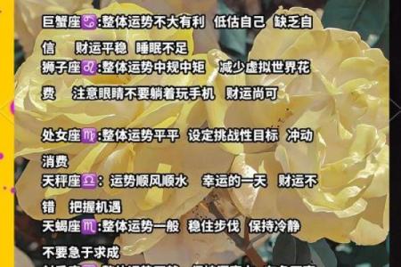 12星座运势最新一周 12星座最新一周运势解析吉凶预测与运势指南