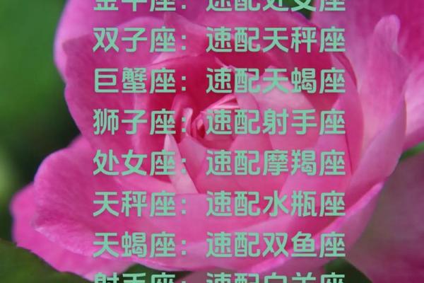 速配星座是什么意思,今日运势速配星座是什么意思 速配星座是什么意思,今日运势速配星座是什么意思