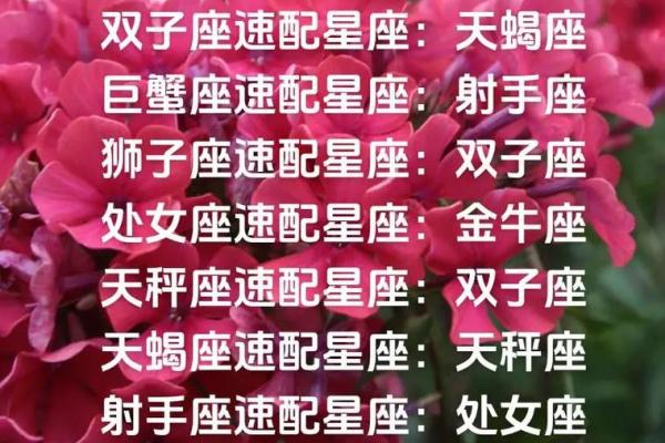 速配星座是什么意思,今日运势速配星座是什么意思 速配星座是什么意思,今日运势速配星座是什么意思