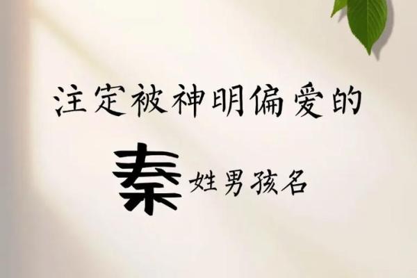 秦姓男孩名字大全-秦姓男孩起名字大全-秦姓名字大全姓名 秦姓男孩名字大全-秦姓男孩起名字大全-秦姓名字大全姓名