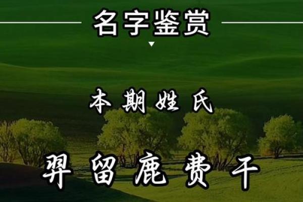 费姓男孩名字大全-费姓男孩起名字大全-费姓名字大全姓名